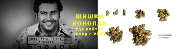 молекула духа Белоозёрский