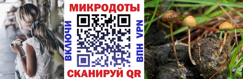 дарк нет клад  Наро-Фоминск  Галлюциногенные грибы прущие грибы 
